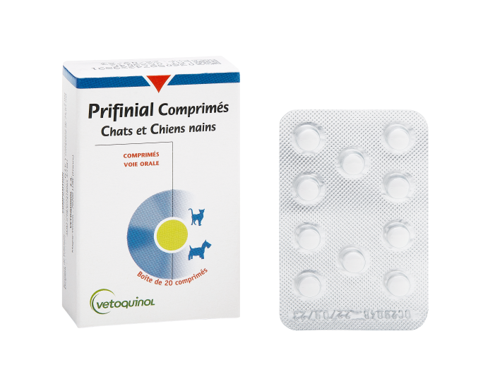 Vermifuge Pour Chien Vetoquinol - Plaquette De 6 Comprimés Sécables - Pour Chiens De 10kg Et Plus